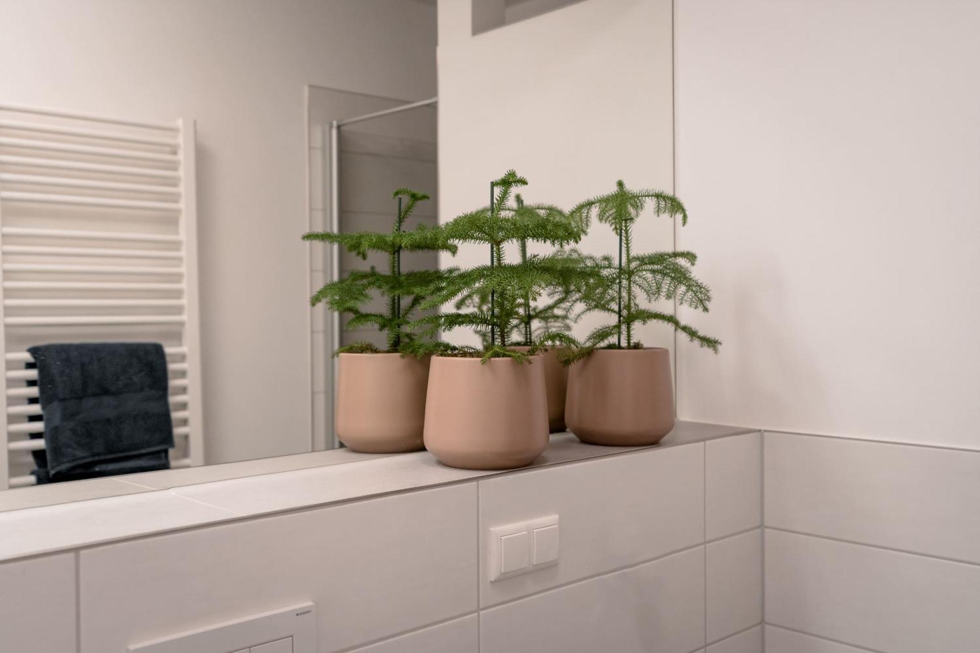 Ferienwohnung Altstadt Regensburg Dış mekan fotoğraf